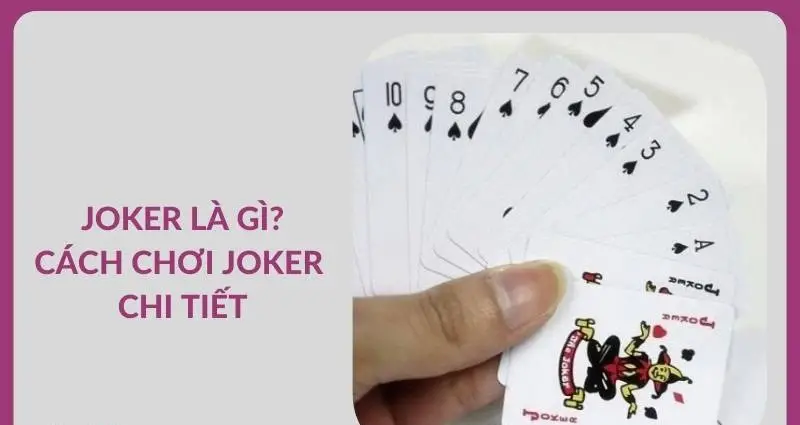 Bài Joker Là Gì? Khám Phá Bí Ẩn Lá Bài Kỳ Lạ