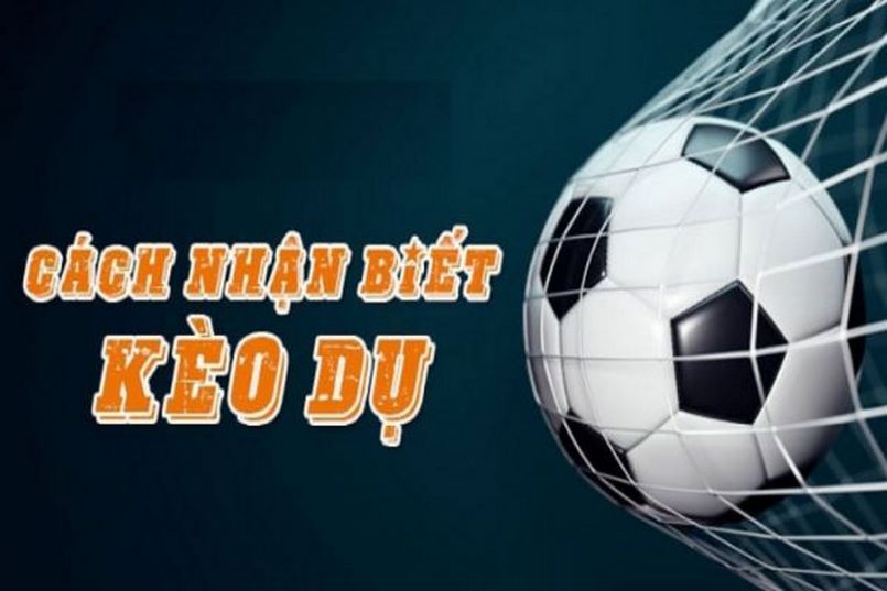 keo du ca cuoc 68117d59d3e2d