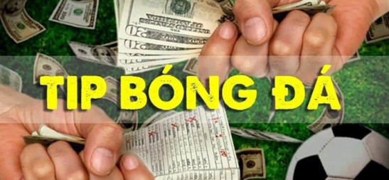 Thế Giới Cược Bóng Đá Sức Mạnh Và Hạn Chế Của Máy Tính Dự Đoán Bóng Đá
